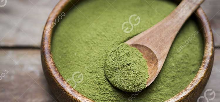 moringa powder